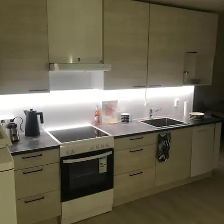 Appartement Valoisa Avara Yksioe Loistavalla Sijannilla *